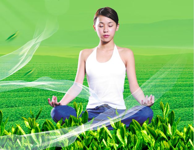 广东省普通高级中学毕业证书翻译